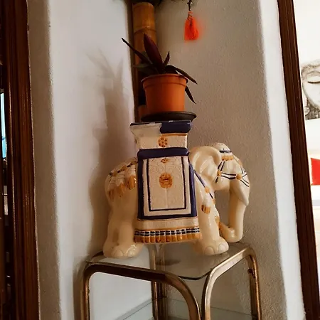 Casapatrizia Compartido Gæstehus Santa Cruz de Tenerife